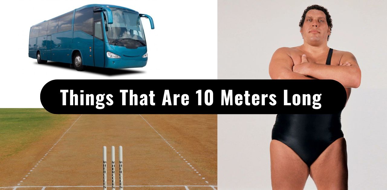 10 Things That Are 10 Meters Long or Big