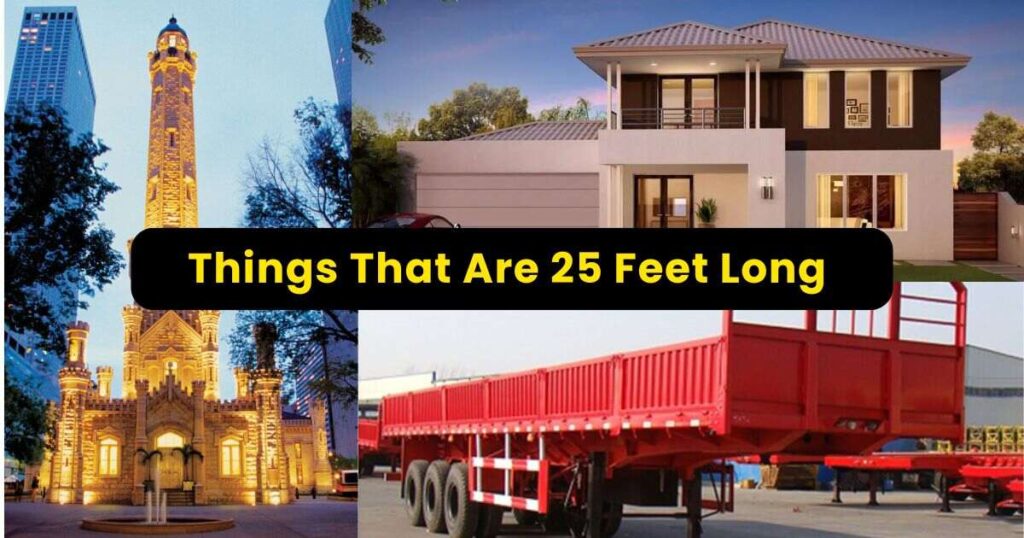 11 Things That Are About 25 Feet Long or Big - How Big is 25 Feet?