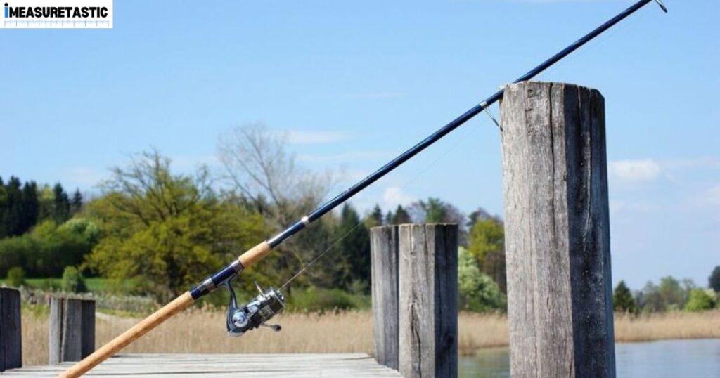 15 Things and Animals That Are 10 Feet Long A Fishing Rod