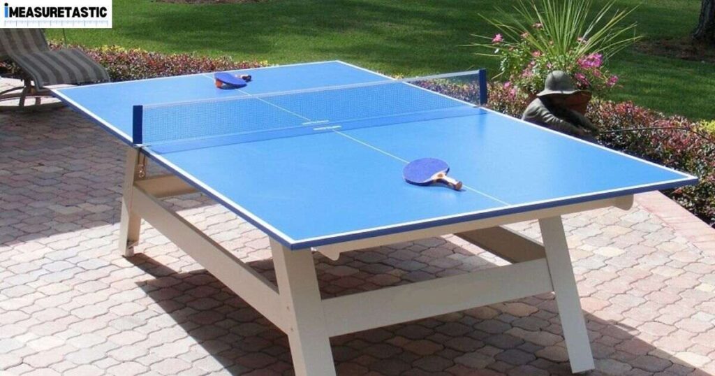 15 Things and Animals That Are 10 Feet Long Ping Pong Table