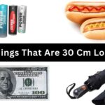 30 cm Common Things That Are 30 Centimeters Long