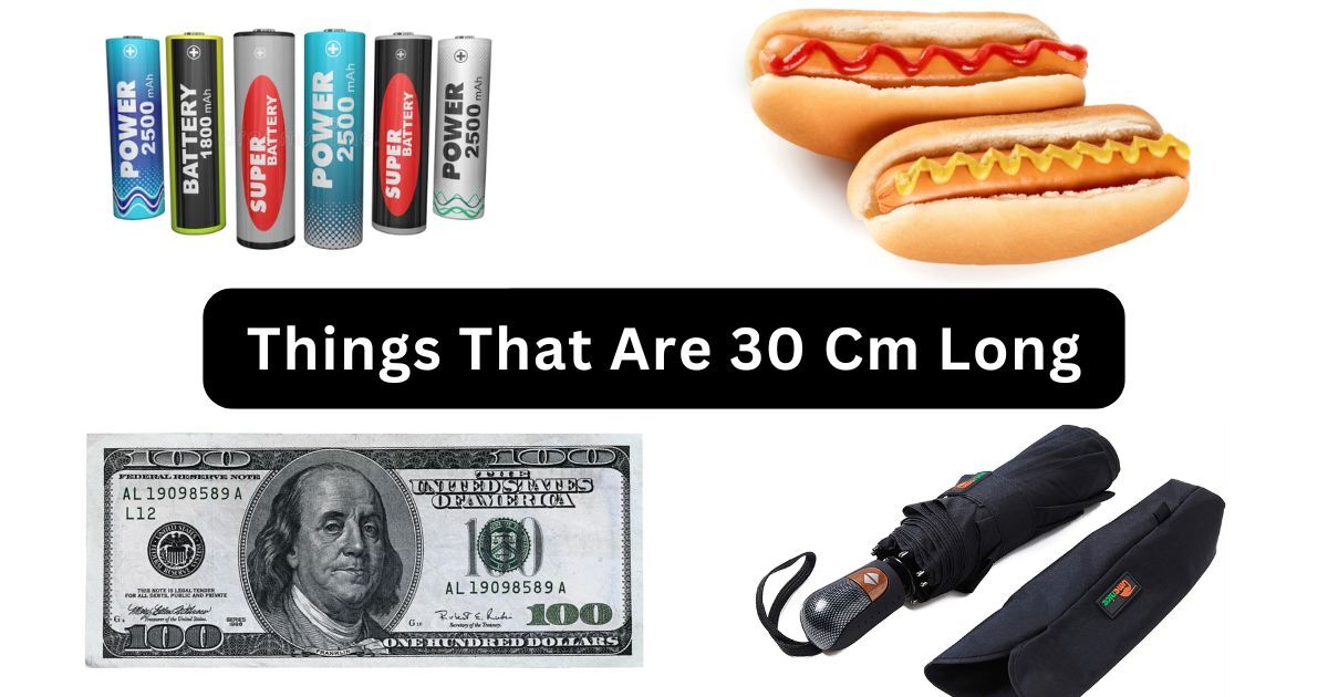 30 cm Common Things That Are 30 Centimeters Long