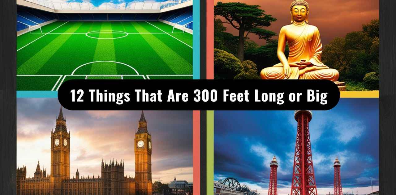 Comprehensive visual comparison of remarkable objects measuring 300 feet in length