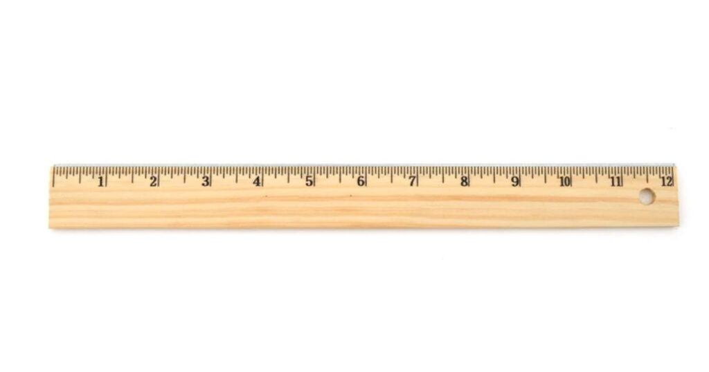 Common Thing That Are 15 Centimeters Long Standard Ruler