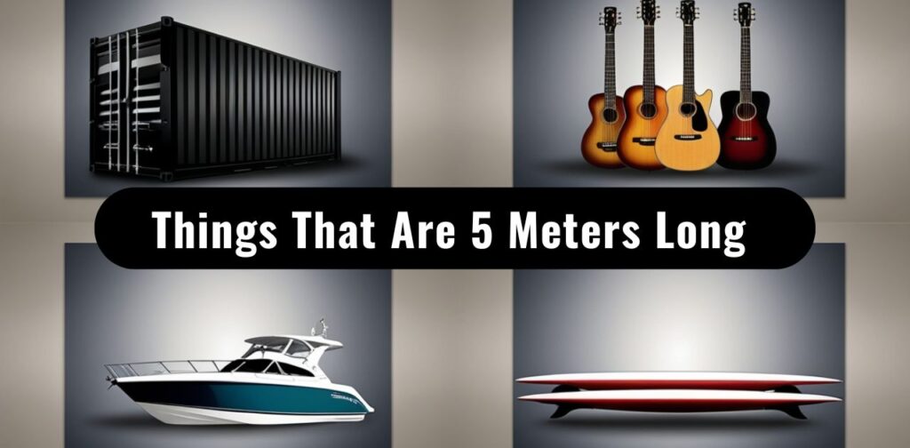 10 Everyday Items That Are 5 Meters Long or Big