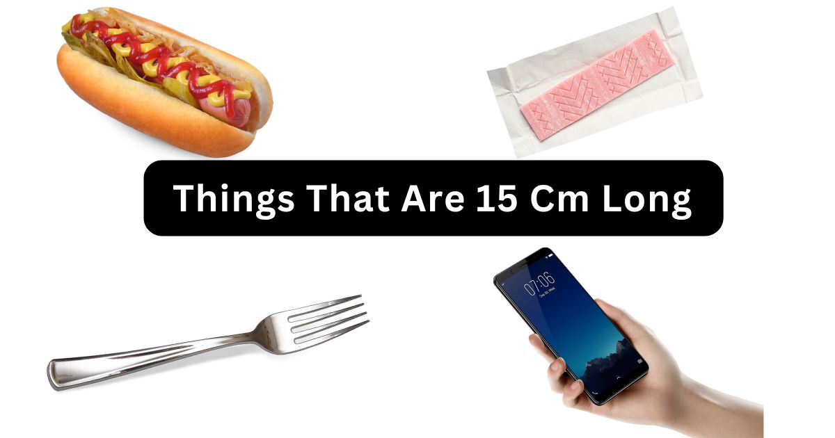 how-big-is-15cm-15-common-things-that-are-15-centimeters-long