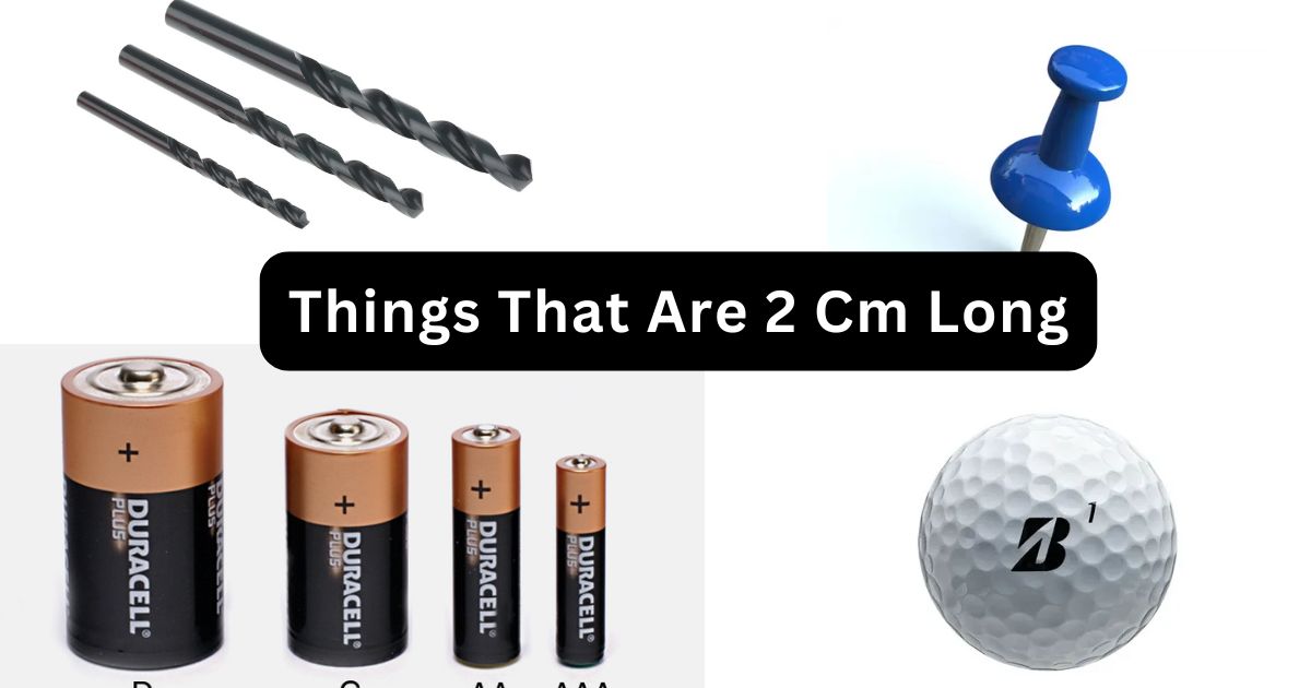 How Big Is 2 cm? 14 Everyday Things That Are 2 Centimeters Long