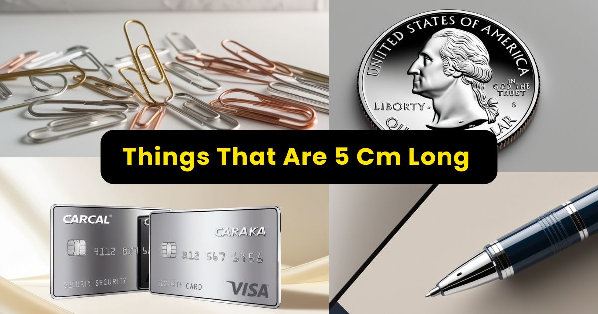 How Big is 5 cm? 12 Common Things that are 5 Centimeters Long