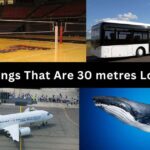 How far is 30 metres to walk? 13 Things That Are 30 Meters Long