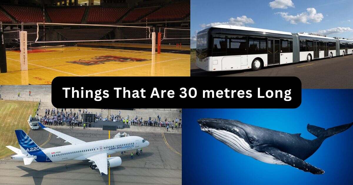 How far is 30 metres to walk? 13 Things That Are 30 Meters Long