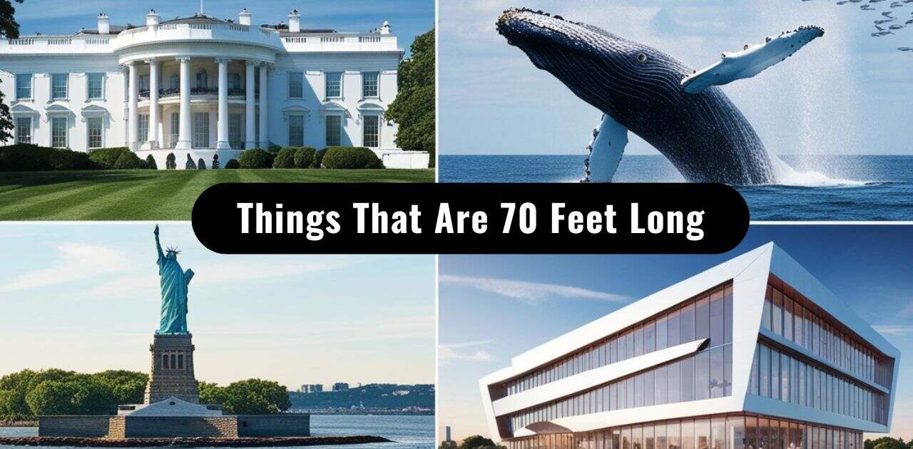 Comparative visualization of 70-foot measurements