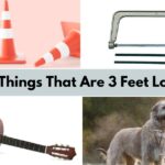 12 Everyday Items That Are 3 Feet Long