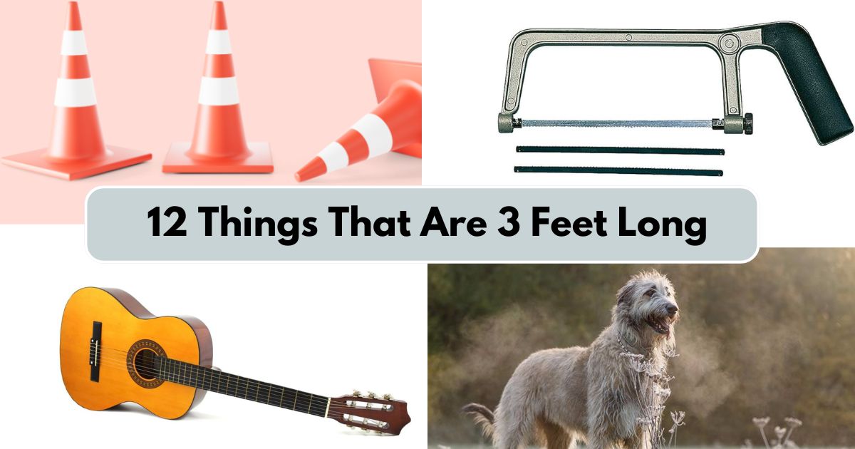 12 Everyday Items That Are 3 Feet Long