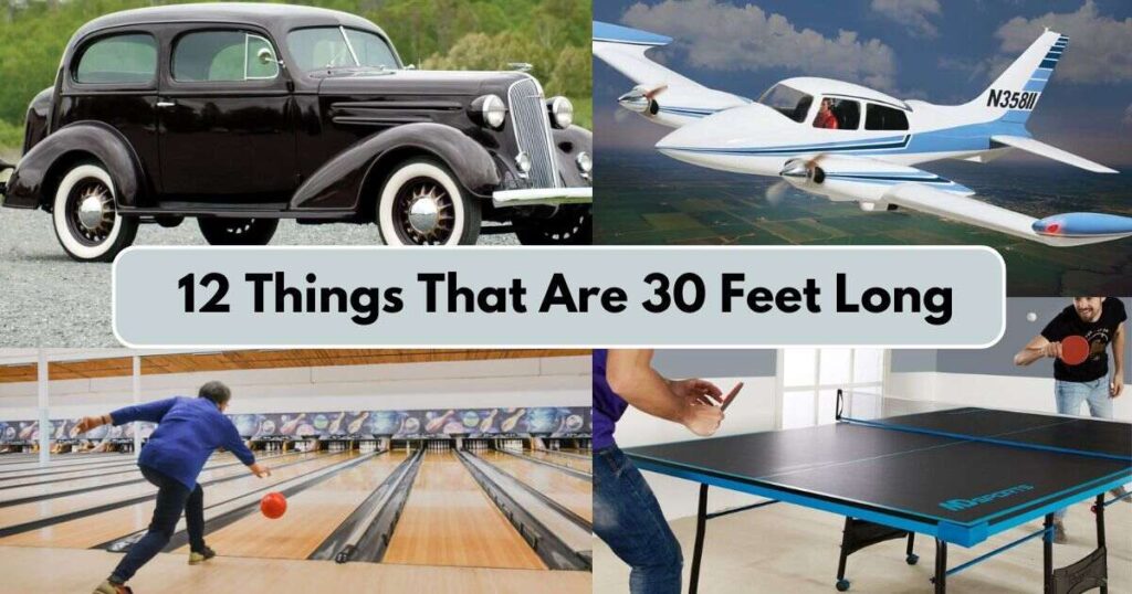 12 Things That Are 30 Feet Long or Big