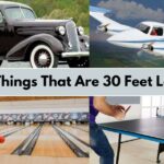 12 Things That Are 30 Feet Long or Big