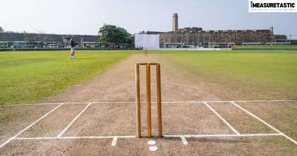 12 Things That Are 30 Feet Long or Big Half of the Cricket Pitch