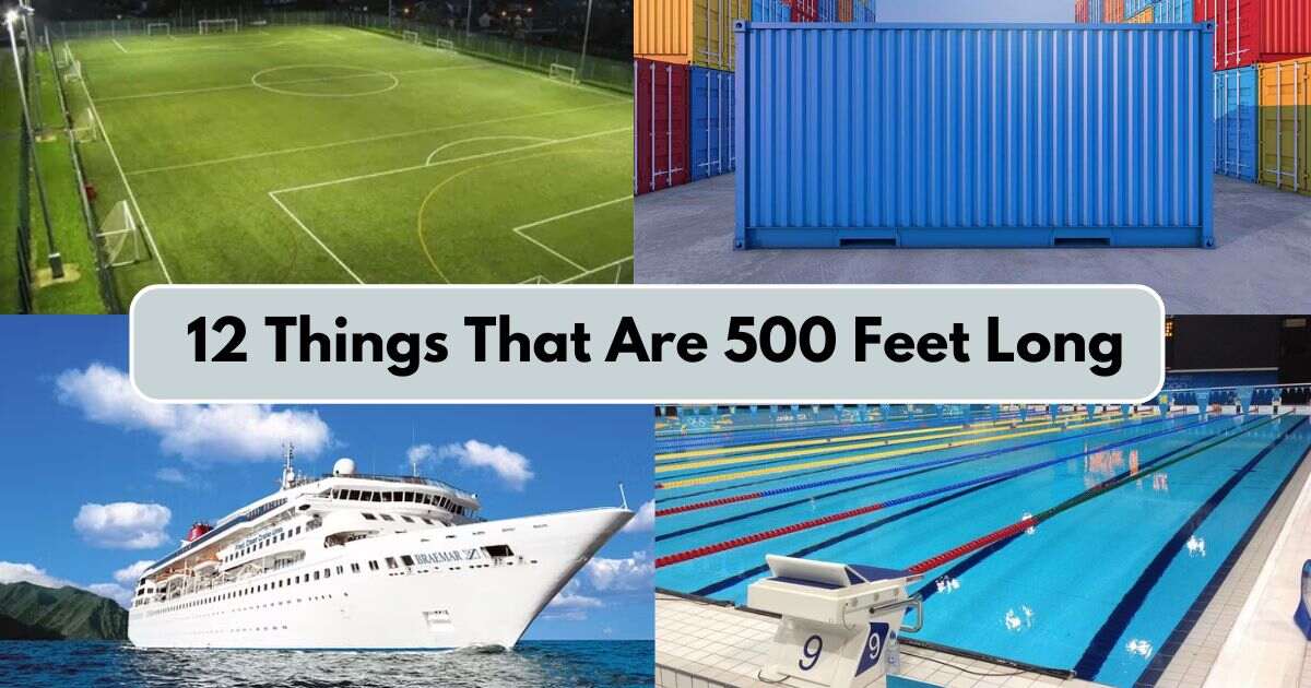 12 Things That Are 500 Feet Long/Big