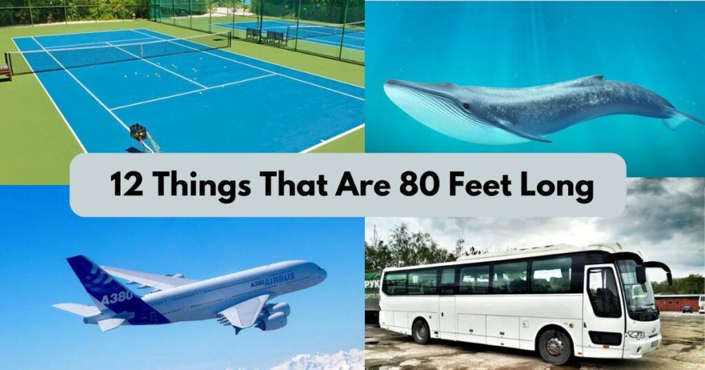 12 Things That Are Approximately 80 Feet Long