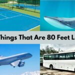 12 Things That Are Approximately 80 Feet Long